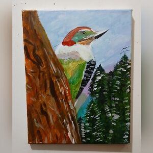 Colorful Woodpecker 11 × 14 Canvas Art Painting